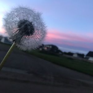 Meet your Posher, Keyera